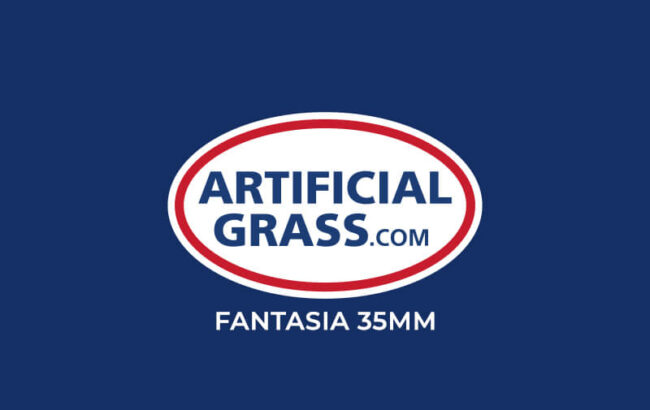 Fantasia 35mm - Image 4