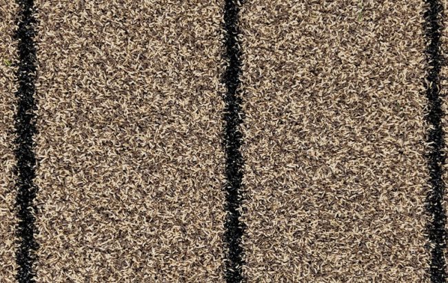 Decking Grass - Image 2