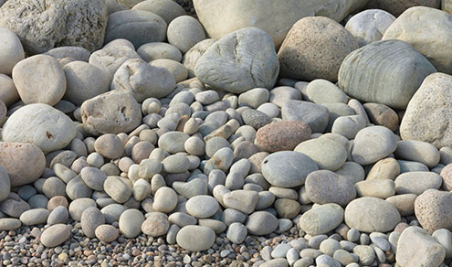 a-shore-thing-link a-shore-thing-link