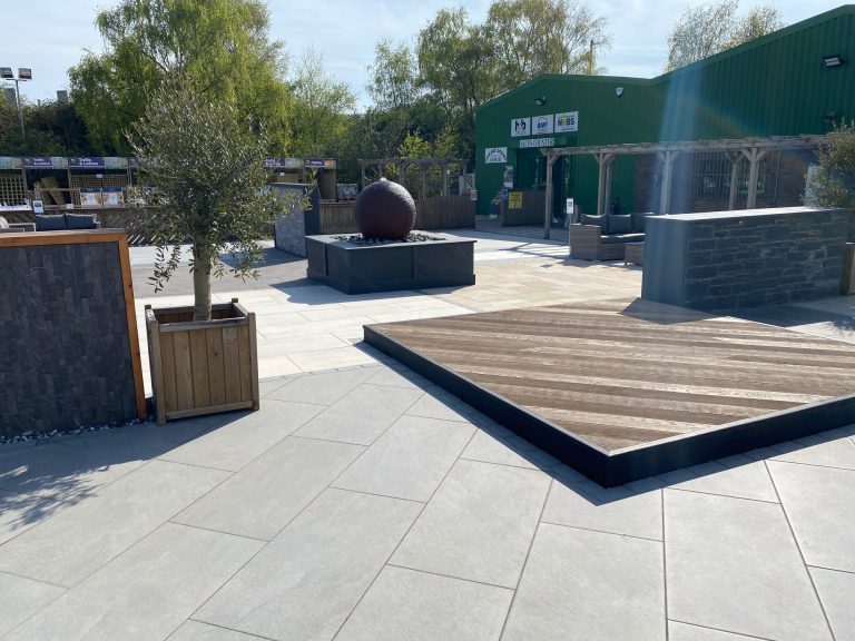 Forward Display area 768x576