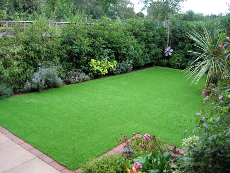 back lawn min 1 768x576