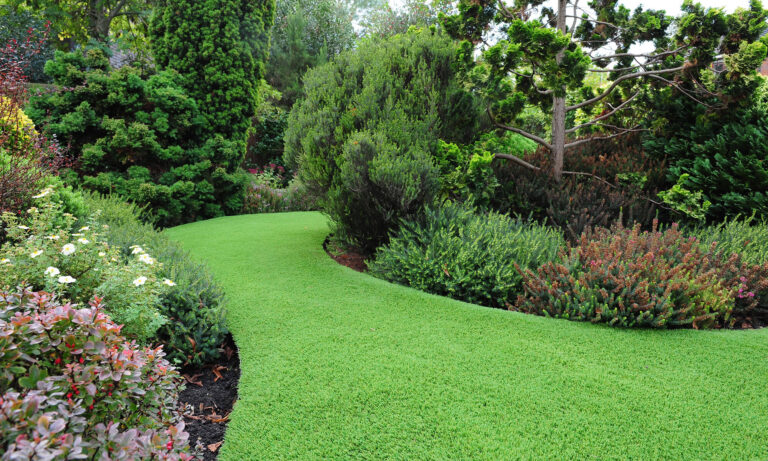 edging feature min 1 768x461