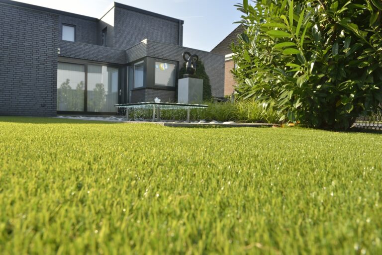 Lawn shot 1 768x513