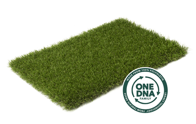 ONE-DNA - Elan
